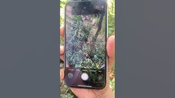 How to Use Volume Buttons to Capture Photos and Videos on iPhone #iphone #shorts