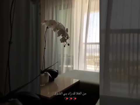 من الغلا لك زاد بي الشوق