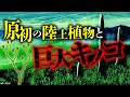 【ゆっくり解説】誰が最初に陸に上がった?:シルル紀の古植物と巨大キノコ【 古生物 / 進化 / 科学 / 生命の歴史⑩】
