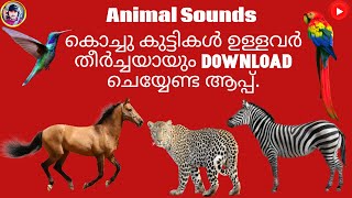 Animal, Bird Sounds | Ringtone | Malayalam tech | Entertainment app screenshot 2