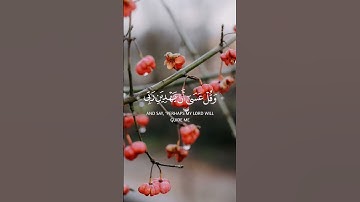 واذكر ربك اذا نسيت #تلاوة_خاشعة #القرآن_الكريم #قرآن