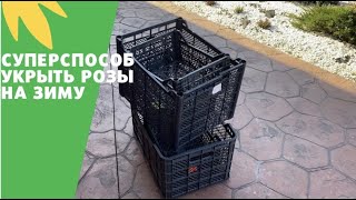 картинка: УКРЫВАЮ РОЗЫ БЫСТРО И ЭФФЕКТИВНО | ПРОСТЫЕ ОПОРЫ ДЛЯ ЗИМНЕГО УКРЫТИЯ