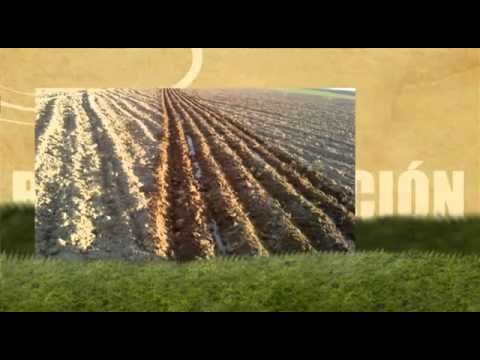 Vídeo: Característiques De L'agricultura De Reg