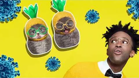 STEM Talent Pipeline Distance Learning Resource