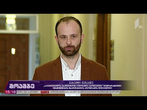 პარლამენტში საარჩევნო რეფორმაზე მსჯელობენ