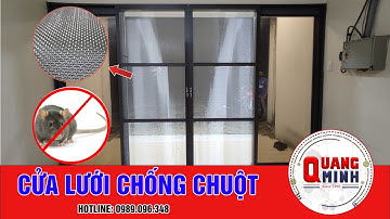 Cửa Chống Chuột - Cửa Lưới Inox Quang Minh