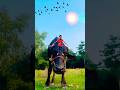 Creative photography video#creative#funnyvideo#cartoon