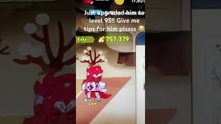 𝐖𝐢𝐥𝐝𝐛𝐞𝐫𝐫𝐲 𝐜𝐨𝐨𝐤𝐢𝐞 𝐭𝐢𝐩𝐬 𝐩𝐥𝐬! 𝐈𝐧𝐜𝐥𝐮𝐝𝐢𝐧𝐠 𝐭𝐨𝐩𝐩𝐢𝐧𝐠𝐬! :)