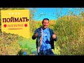 Ждали налима — судак устроил атаку! Место под названием "Зацепы"