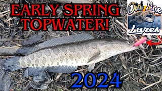 TOPWATER Snakehead Back To Back!! Wade Fishing 2024