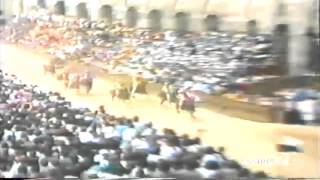 Palio 2 Luglio 1981
