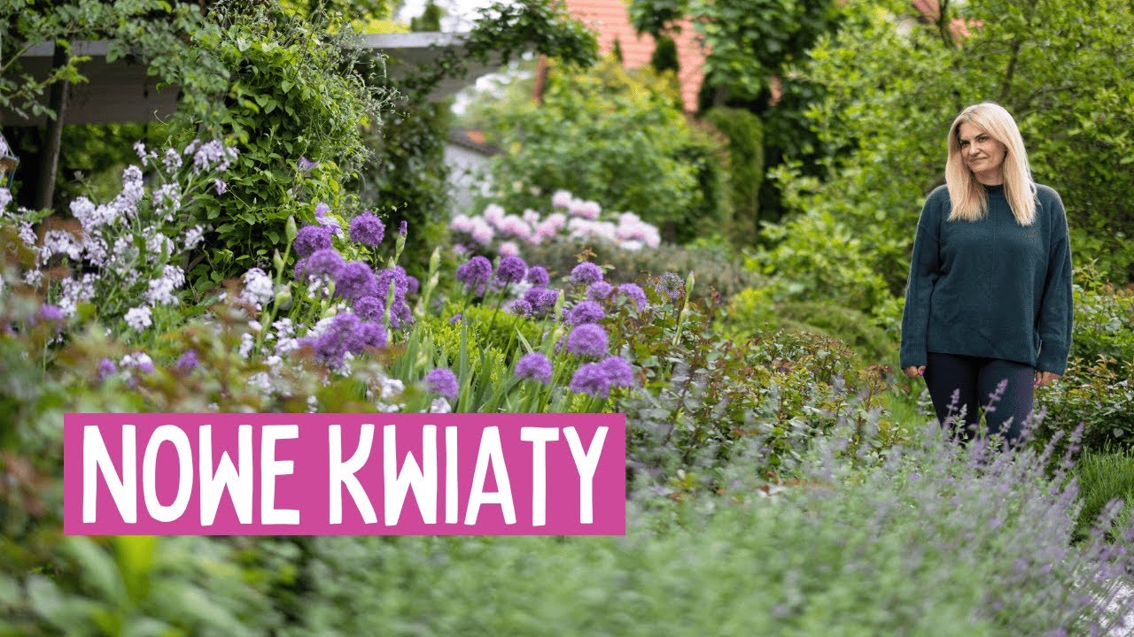 Majowy spacer po ogrodzie | Azalie, piwonie, czosnki i sadzenie powojników i dalii