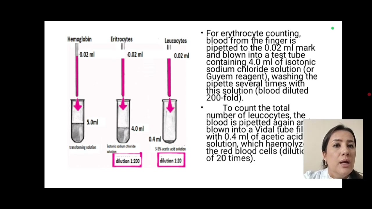Общий анализ крови
