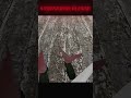 Granny Horror game grandpa troll face 👀😈 ll #trendingshorts #viralshot #youtubeshorts 99k #trending