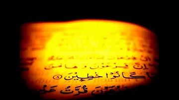 سورة الزخرف الآيات (٨١-٨٩)