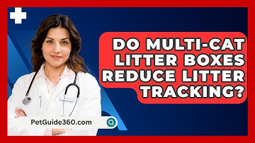 Do Multi-cat Litter Boxes Reduce Litter Tracking? - PetGuide360.com