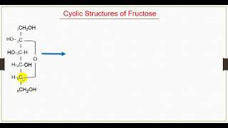 تحويل الفركتوز من سلسله مفتوحه الى حلقى Conversion of fructose from open chain to cyclic(Ring)