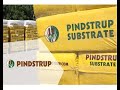 Pindstrup Production Video 2019