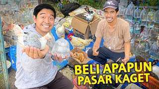 BELI APAPUN HEWAN DI PASAR KAGET UNPAD PALING RAMAI! RESCUE BINATANG TERLANTAR!