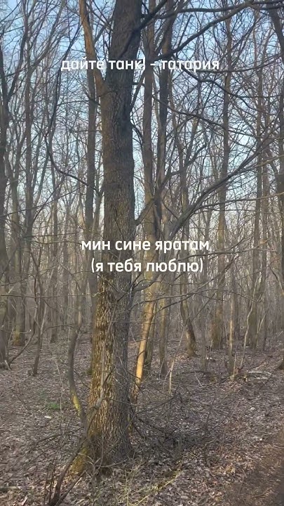 дайте танк! — татария #татарскийязык #татарстан #татартеле - YouTube