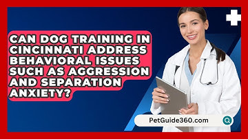 Can Dog Training in Cincinnati Address Behavioral Issues Such as Aggression and Separation Anxiety?