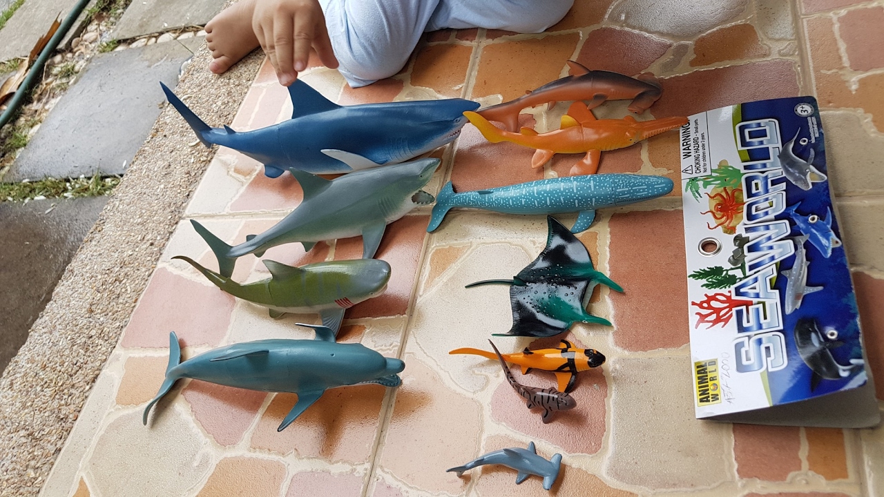 ฺBaby shark ฉลาม shark toys YouTube