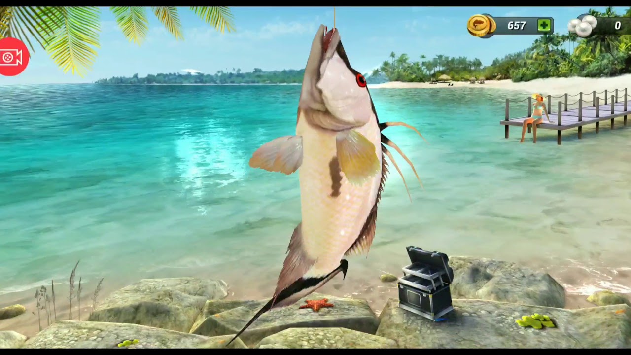 Fishing Clash YouTube