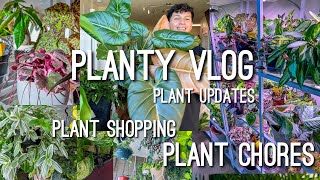 Chill Planty Vlog doing Plant Chores & some Houseplant Updates!
