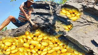 OMG Lucky Lucky Day! Mining Gold - Finding and digging gold.