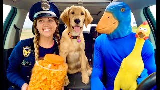 Puppy Surprises Rubber Ducky &amp; Police With Car Ride Chase!