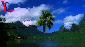 عامر الكاظمي سورة الطلاق Amer Al Khadmy Al Talak