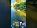 ikan purba atau ikan lele ‼️ #shortvideo #viralvideo #belajarmancing #castingikanharuan