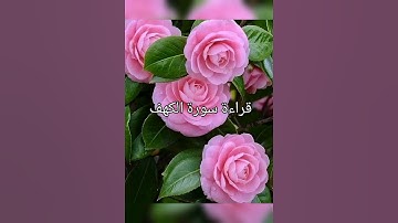 لا تنسوا قراءة سورة الكهف جمعة مباركة ...