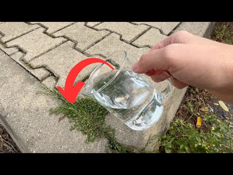 Już jedna kropla