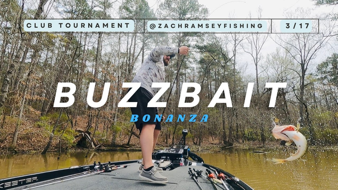 TOPWATER BUZZBAIT ACTION Bass Fishing Club TOURNAMENT on CLARKS HILL