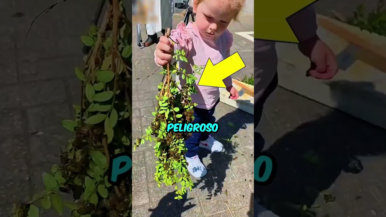 ¡Ella es la REINA de las abejas! 