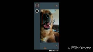 HOW TO MAKE A INSTAGRAM FAN EDIT *FOR FREE* screenshot 4
