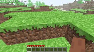 0.24_Survival_Test_01 (Secret Minecraft Version)