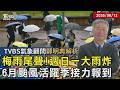【TVBS氣象 x 鄭明典】梅雨季進入尾聲!週日一大雨再一波 端午節前後「颱風活躍季」接力報到20260612｜鄭明典 ｜TVBS新聞 @TVBSNEWS01