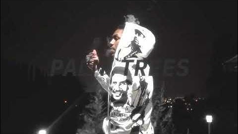 Teejayx6 - Palm Trees (Official Video) [432hz]