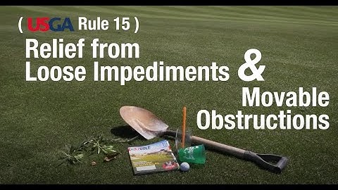 June 2020 Rule of the Month: Relief From Loose Impediments and Movable Objects