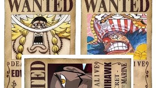 One Piece Oka Shichibukai 7 Warlords Of The Sea 王下七武海 Hd 16 Youtube