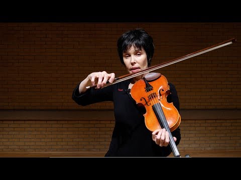 Violin Techniques - String Crossing ADVANCED (Brahms, Bach, etc.)