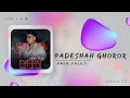 Amin Faleji Padeshah Ghoror OFFICIAL AUDIO TARCK امین فالجی پادشاه غرور 