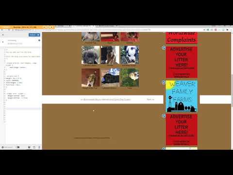 How To Remove "Next & Previous" Post Bar On WordPress Single Post