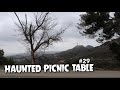 Visiting The Haunted Picnic Table #29 in Griffith Park