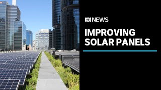Study finds green roofs make solar panels more efficient | ABC News