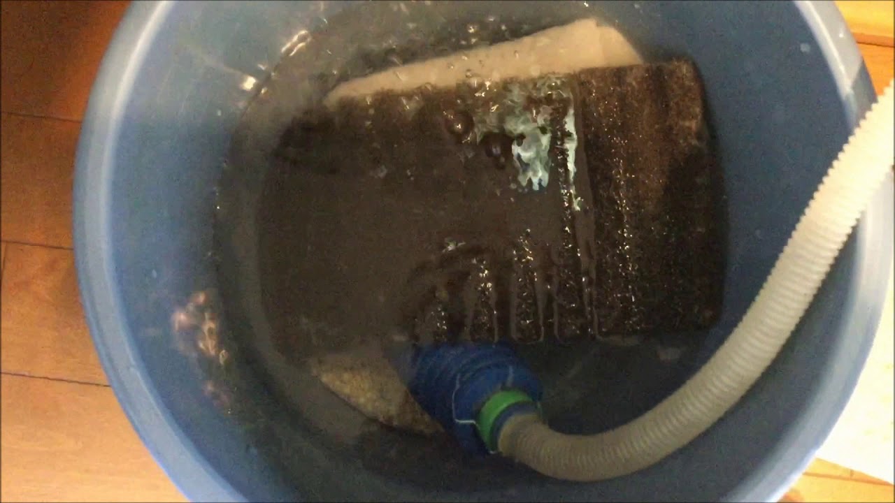 90cm 金魚 熱帯魚混泳水槽 上部フィルターの掃除 4倍速 Youtube