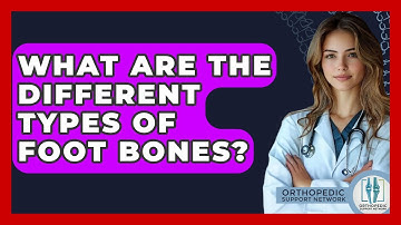 What Are The Different Types Of Foot Bones? - Orthopedic Support Network