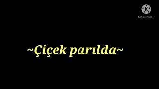 Rapunzelçiçek Parılda